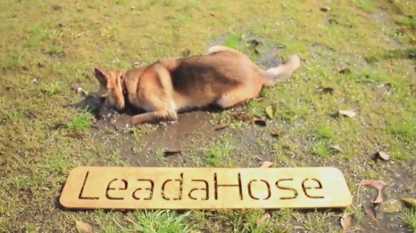 LeadaHose 2