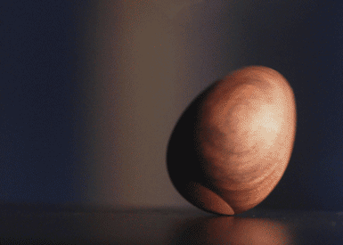 Zen Egg 9