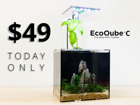 EcoQube C1