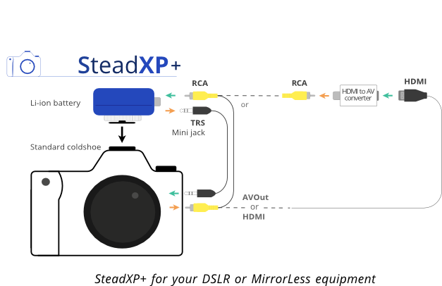 SteadXP12
