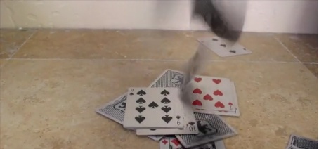 Playing Cards 3.jpg