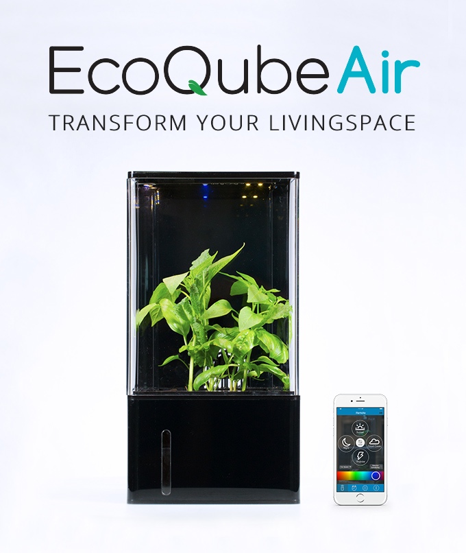 EcoQube Air1.jpg