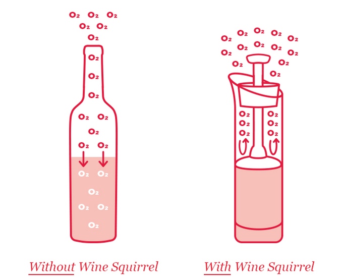 Wine Squirre3.jpg