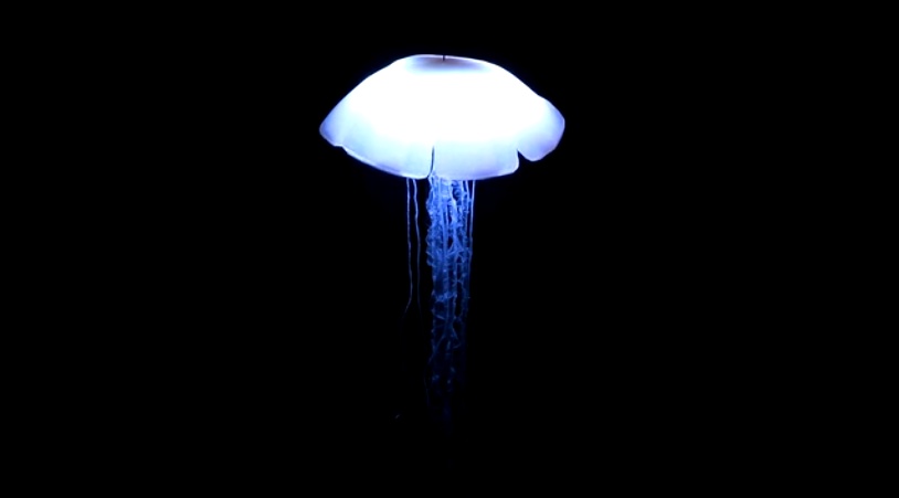 Jellyfish9.jpg