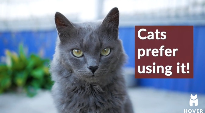 猫に人間のトイレを使わせるグッズ。匂い防止、さらにトイレ掃除もらくちんに Hover Cat Seat(フーバー・キャット・シート) |  Kickstarter fan!